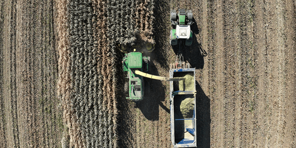 Aerial view of farm equipment vehicles harvesting a field