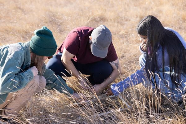Three students crouch down to take a closer look at the plants and soil in a grassy field in Medicine Hat