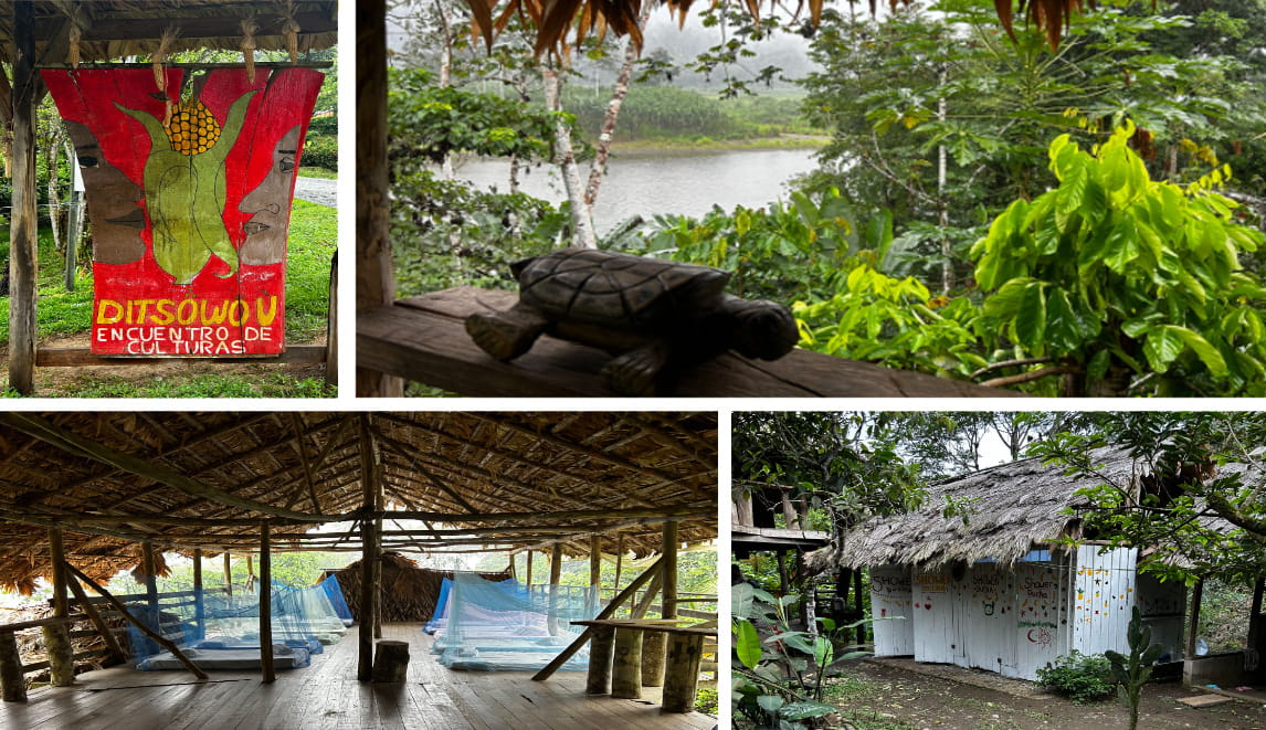Costa Rica collage of a sign, a wooden turtle in front of a river, an open room with beds, and shower stations.