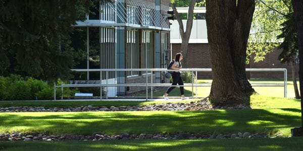 View of Vera Bracken Library in summer